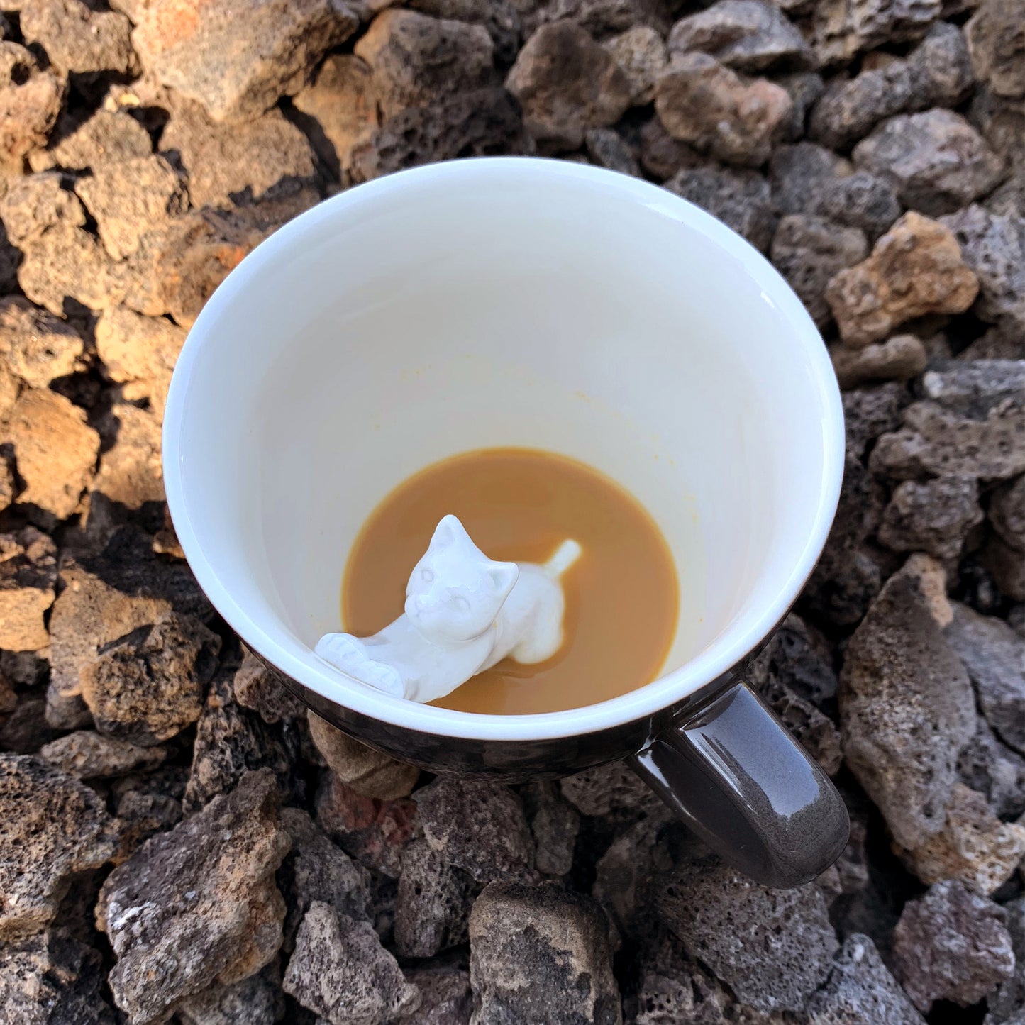 Charcoal Stretching cat Creature Cup partially submerged sitting on top of volcanic rocks