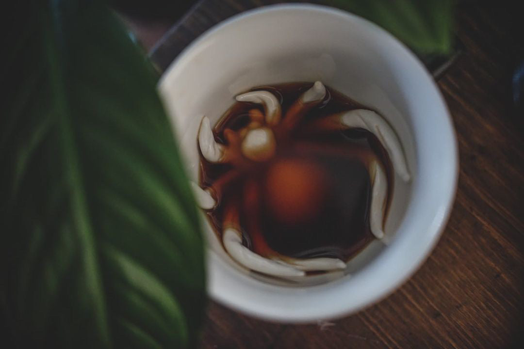 Spider (Black) - Creature Cups