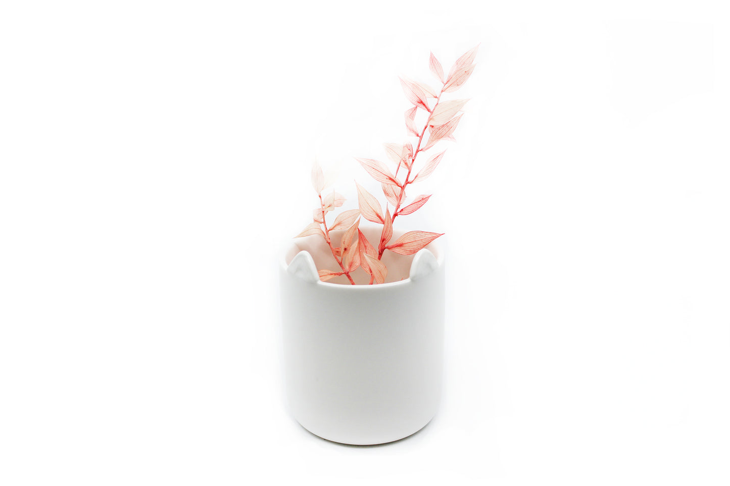 Meow - Wander Pots - Creature Cups
