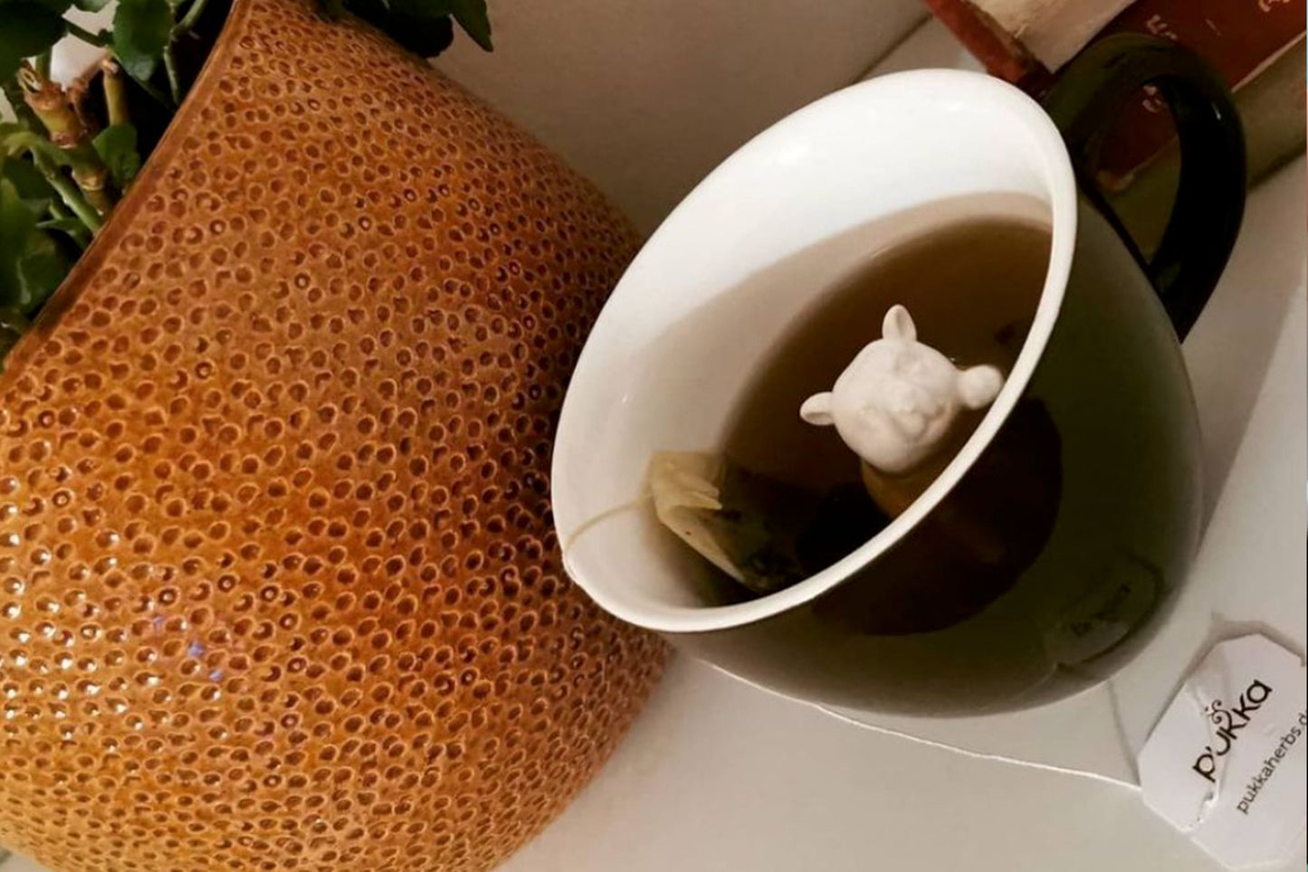 Bear (Dark Brown) - Creature Cups