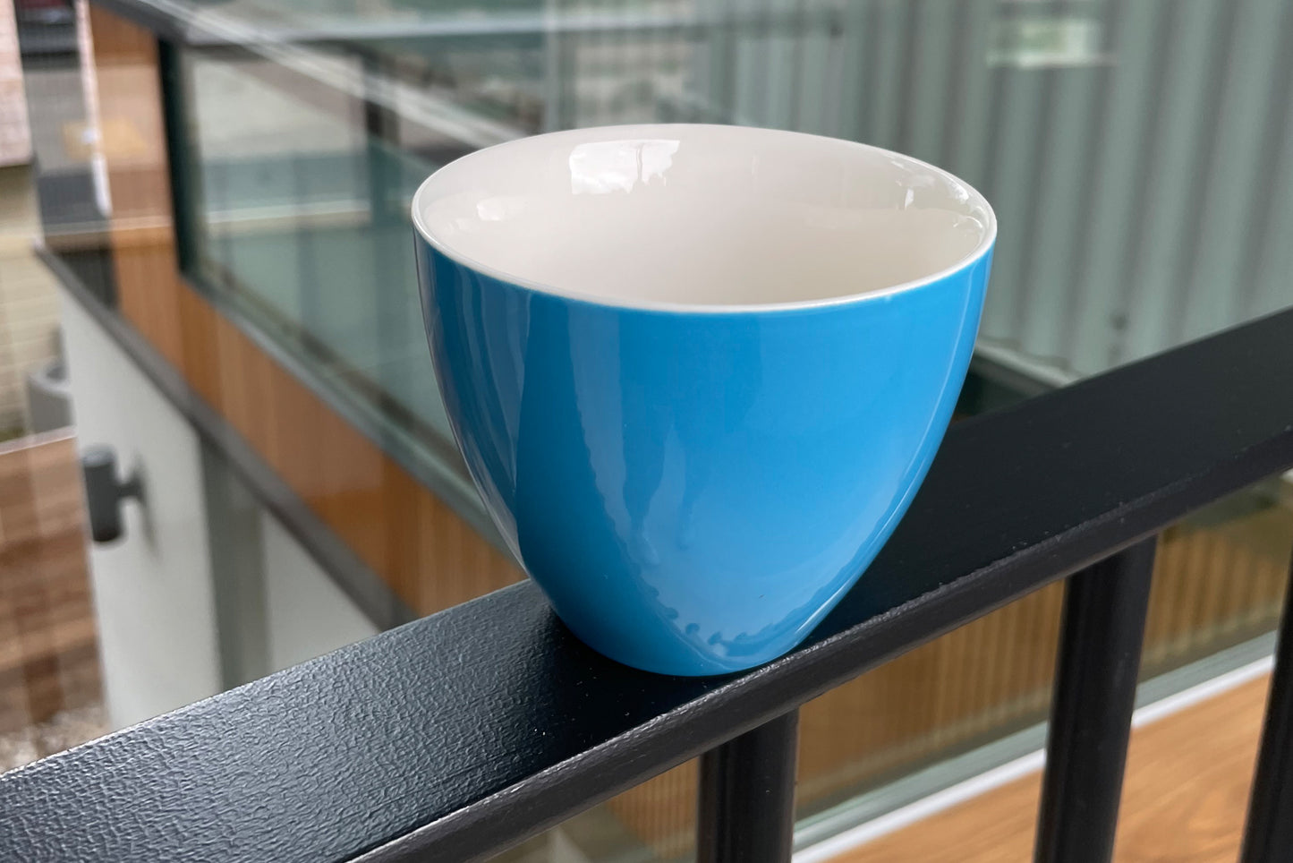 Dolphin (Ocean Blue) - Creature Cups