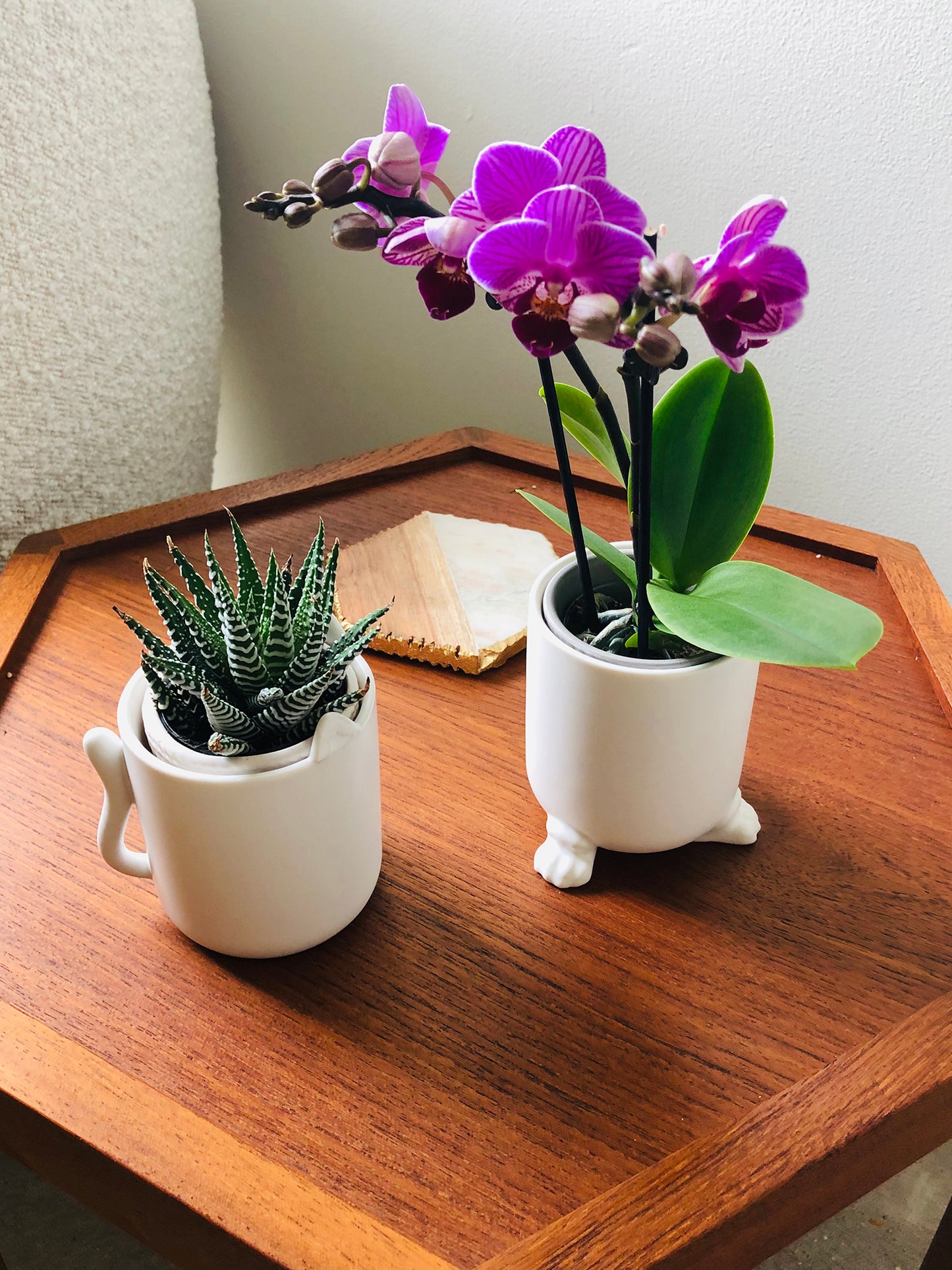 Meow - Wander Pots - Creature Cups