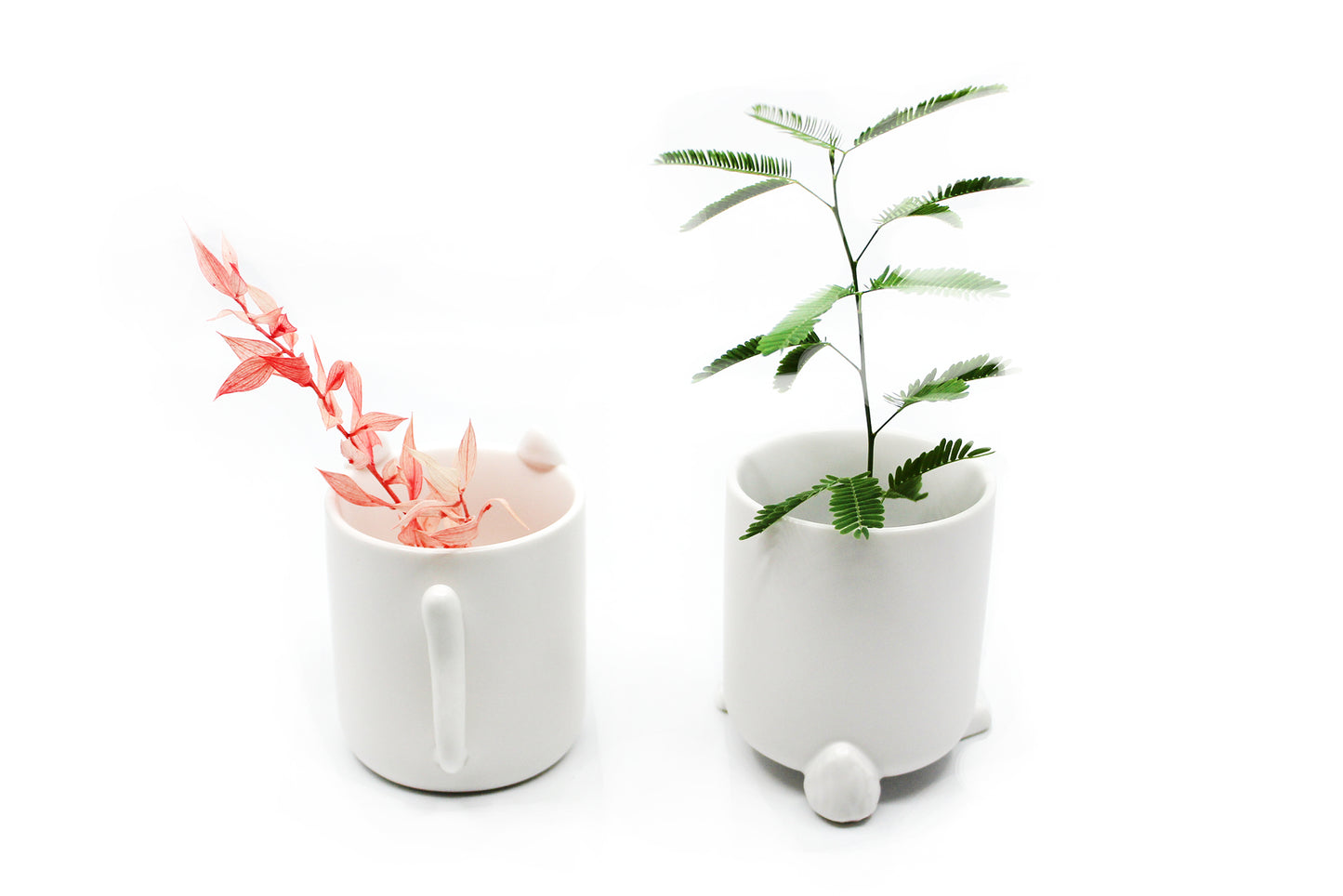 Meow - Wander Pots - Creature Cups
