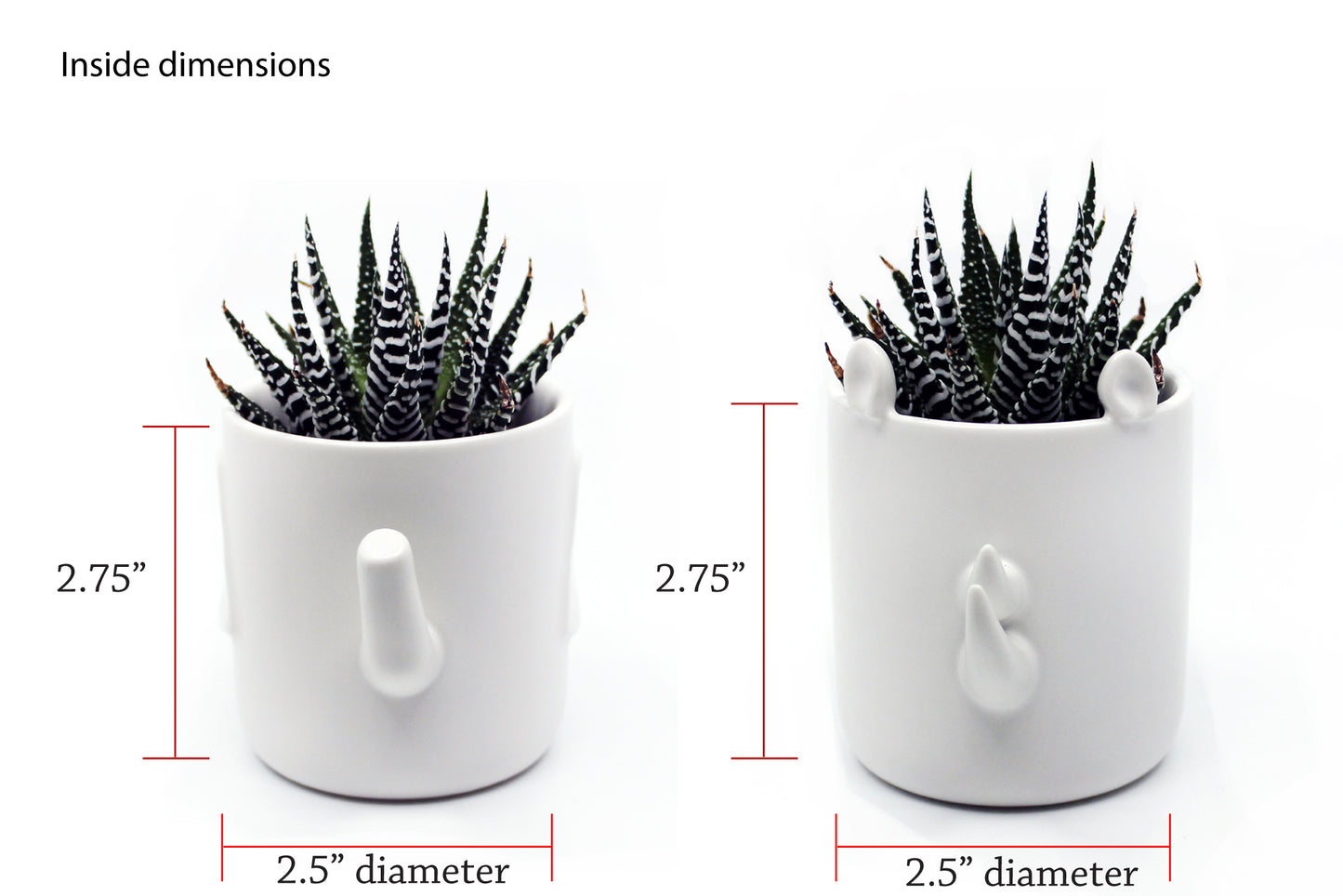 Safari - Wander Pots - Creature Cups