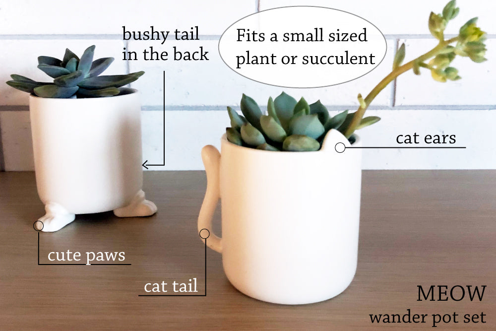 Meow - Wander Pots - Creature Cups