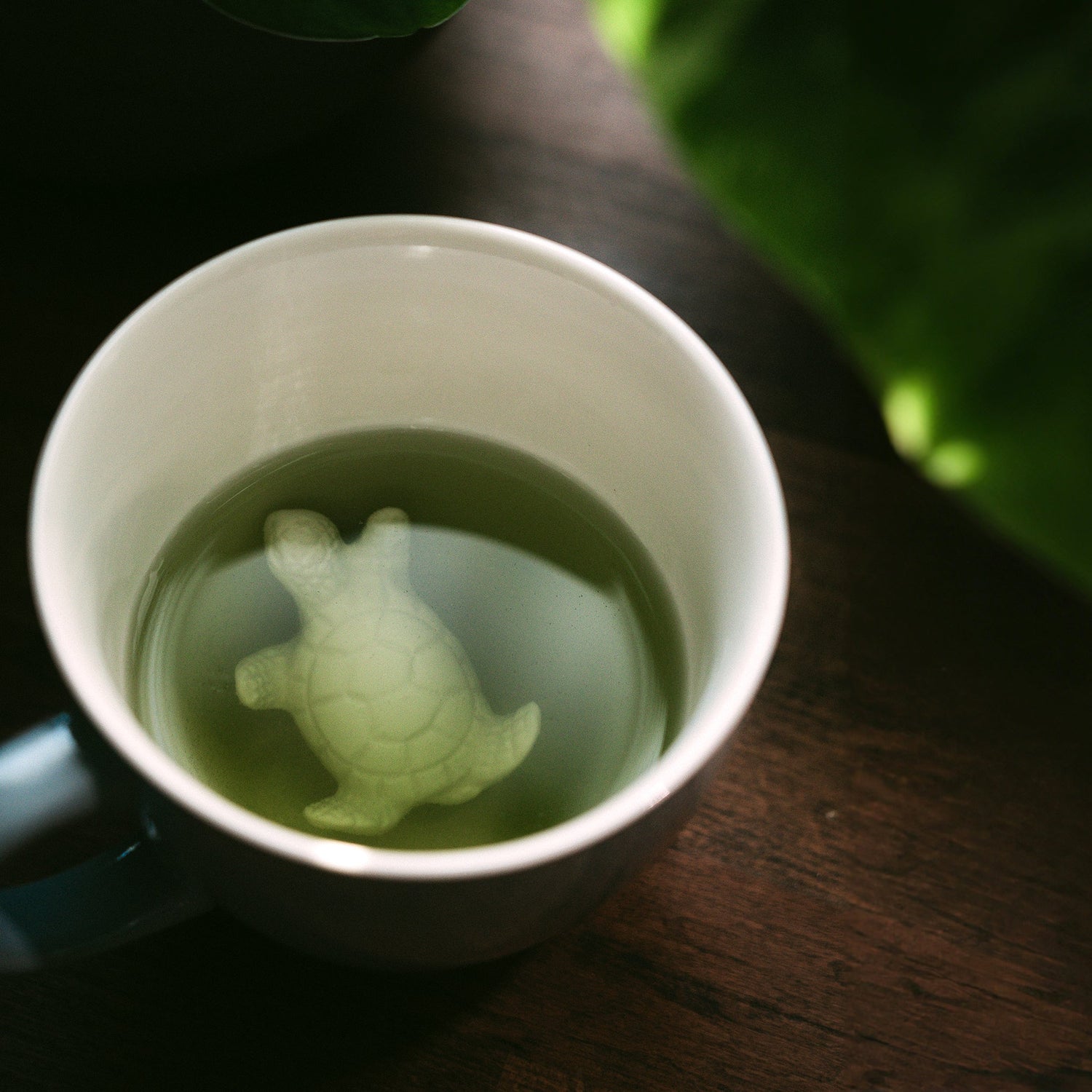 Turtle Sea Creature Cup submerged in green tea on a wooden counter top