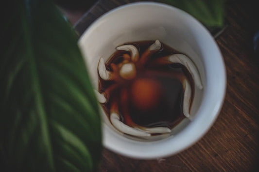 Spider (Black) - Creature Cups