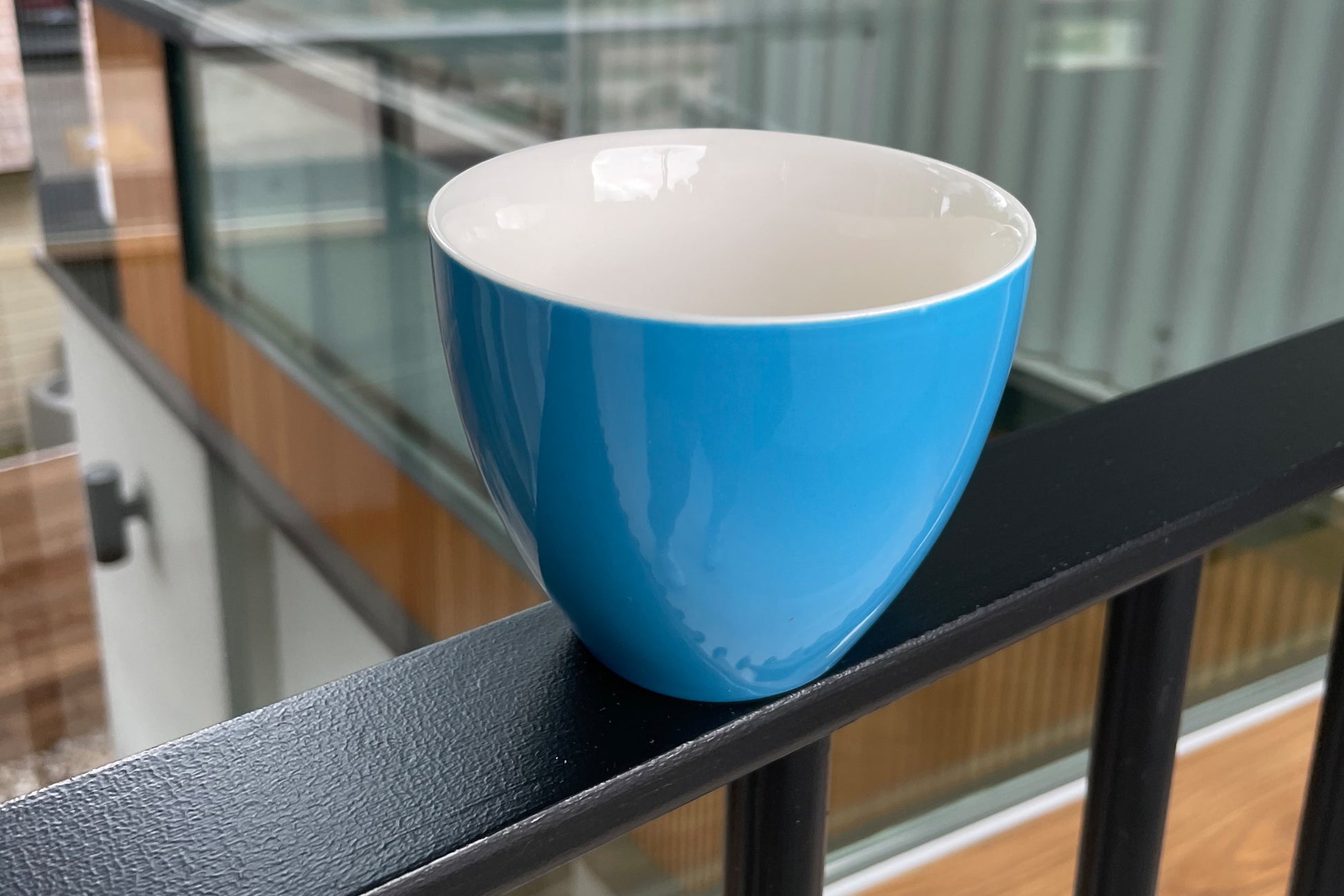 Dolphin (Ocean Blue) - Creature Cups