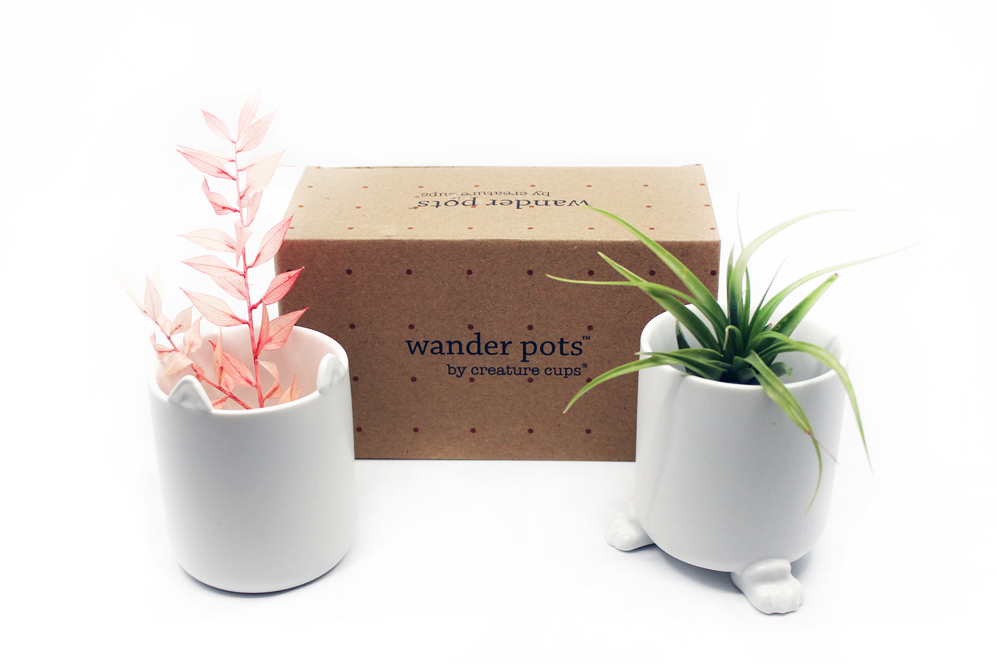 Meow - Wander Pots - Creature Cups
