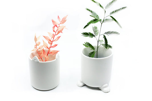 Meow - Wander Pots - Creature Cups