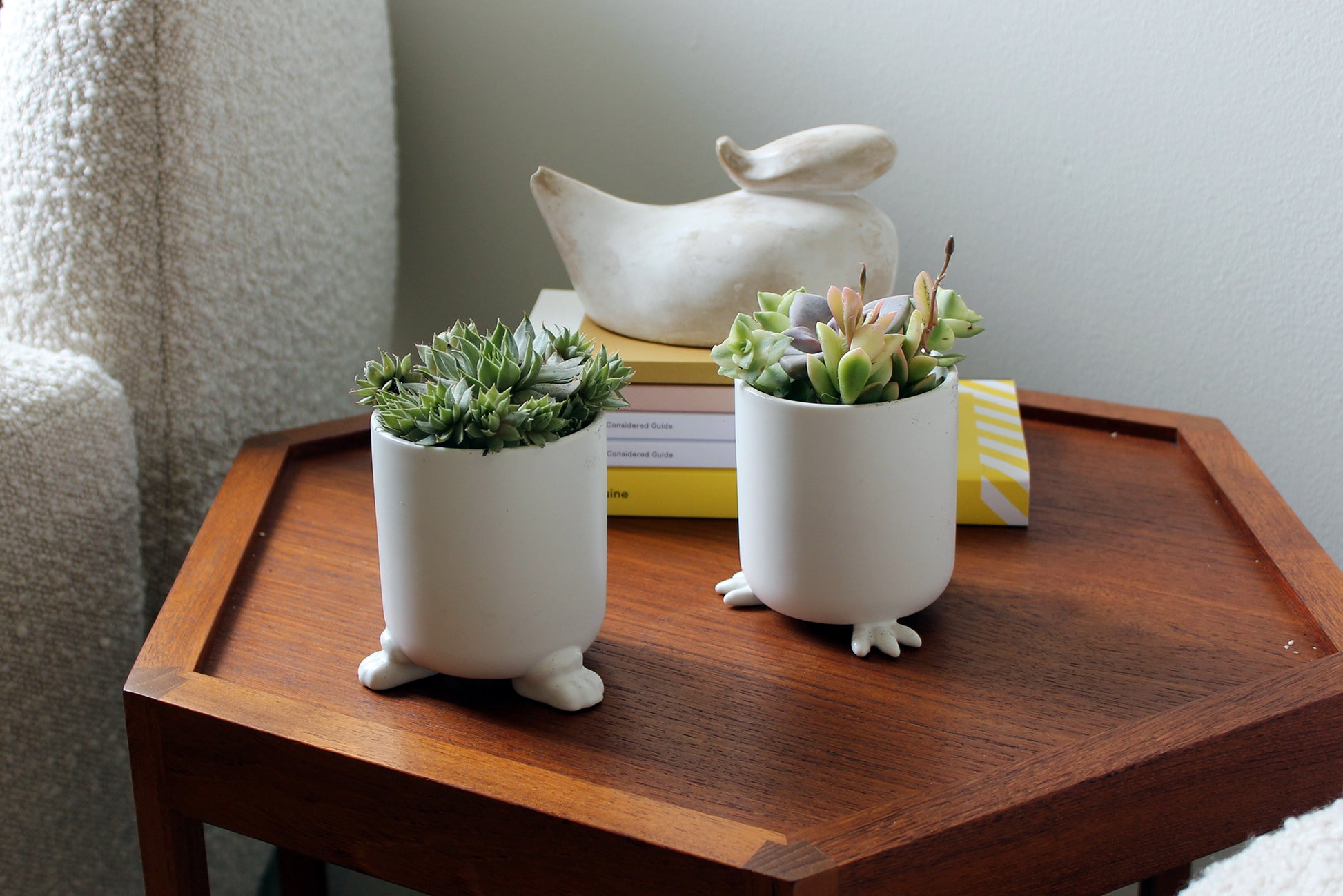 Nomad - Wander Pots - Creature Cups