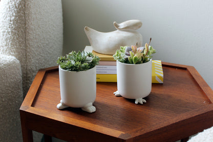 Nomad - Wander Pots - Creature Cups