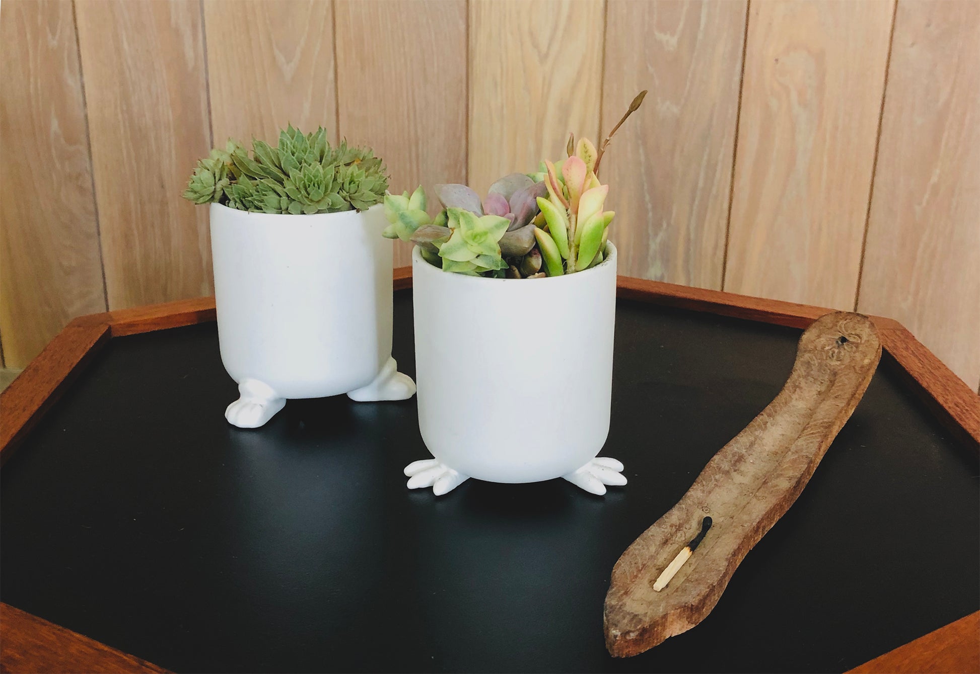 Nomad - Wander Pots - Creature Cups