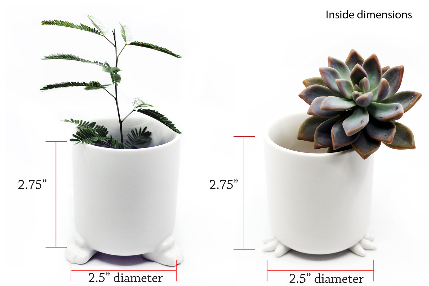 Nomad - Wander Pots - Creature Cups