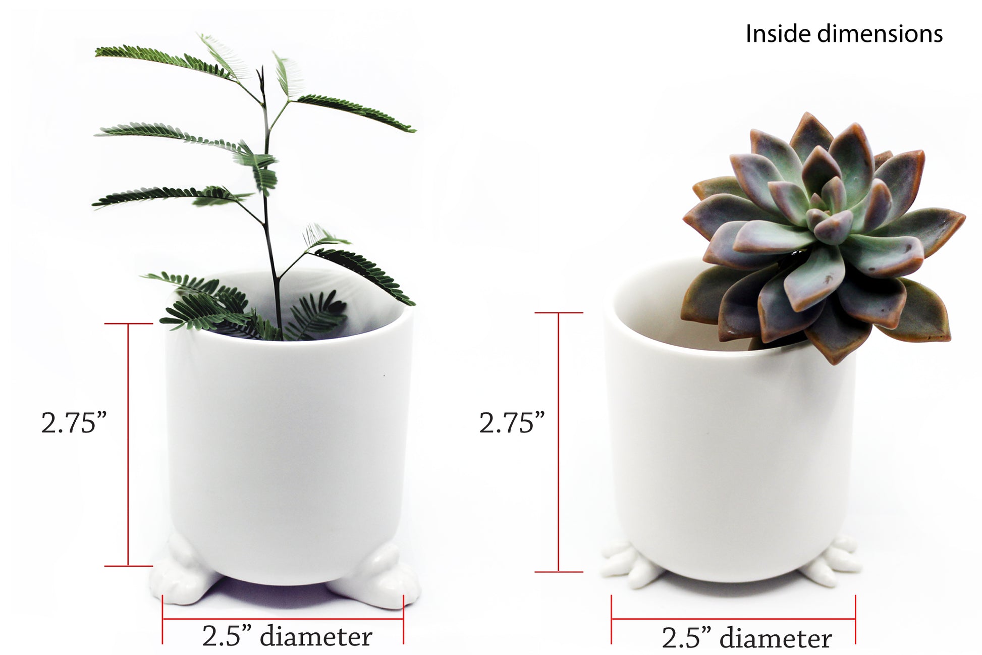 Nomad - Wander Pots - Creature Cups