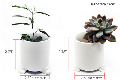 Nomad - Wander Pots - Creature Cups