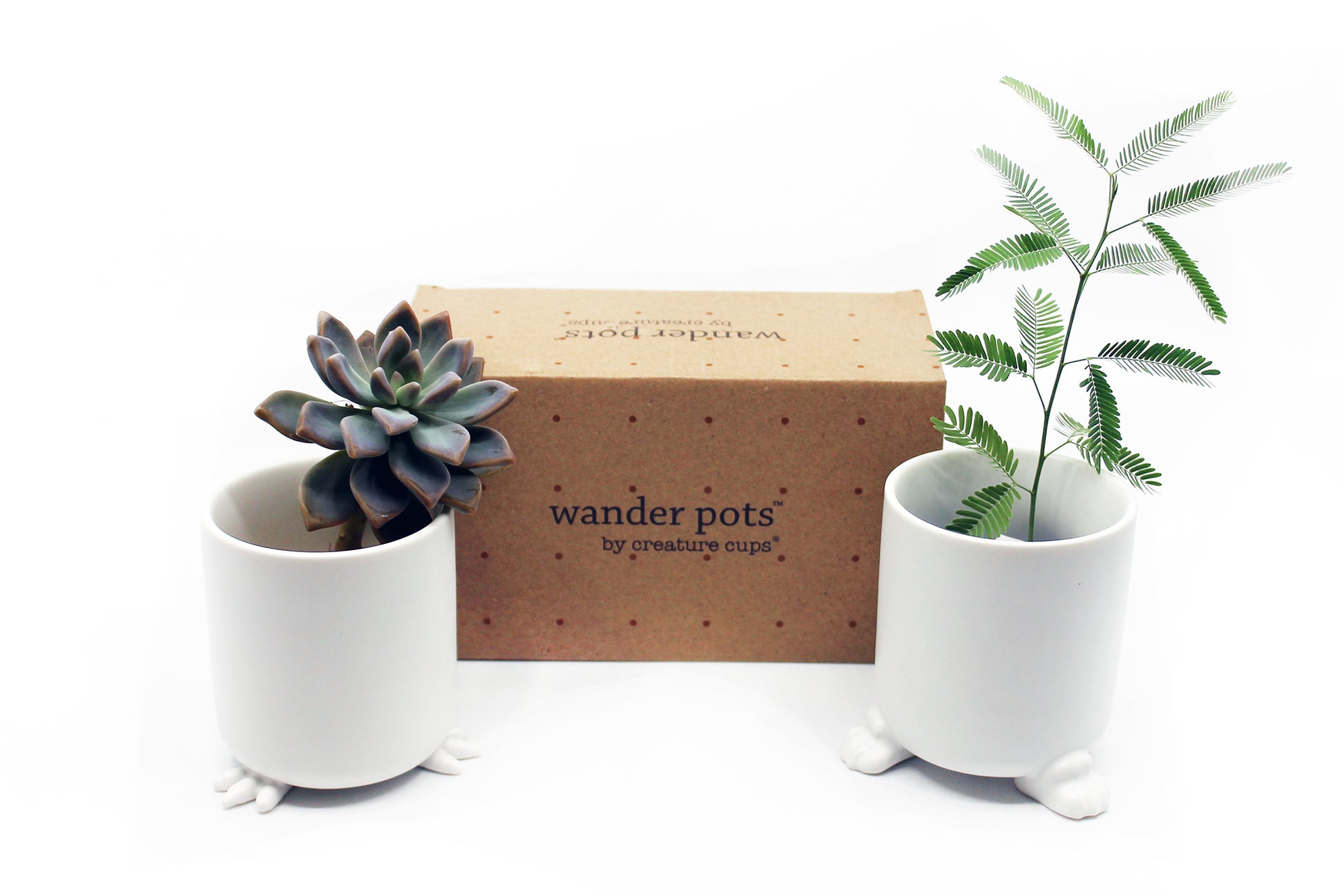 Nomad - Wander Pots - Creature Cups