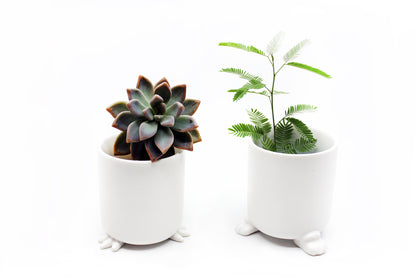 cute pots for indoor plants Nomad Wander Pots | Animal Planters | Home decor