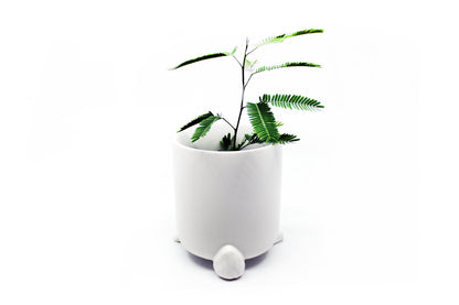 Nomad - Wander Pots - Creature Cups