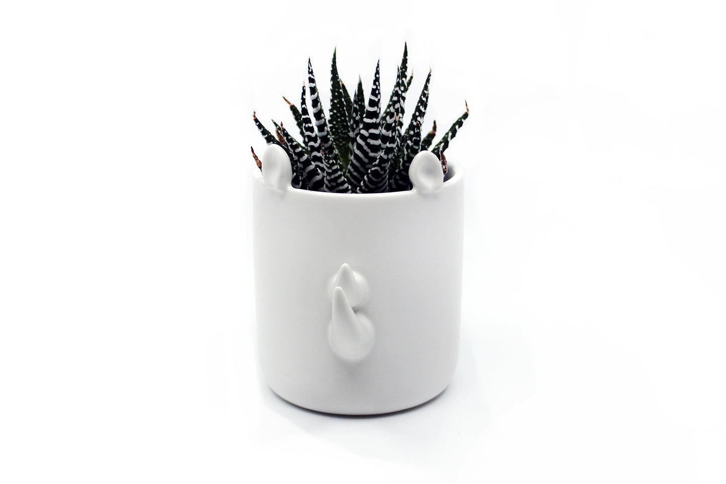 Safari - Wander Pots - Creature Cups