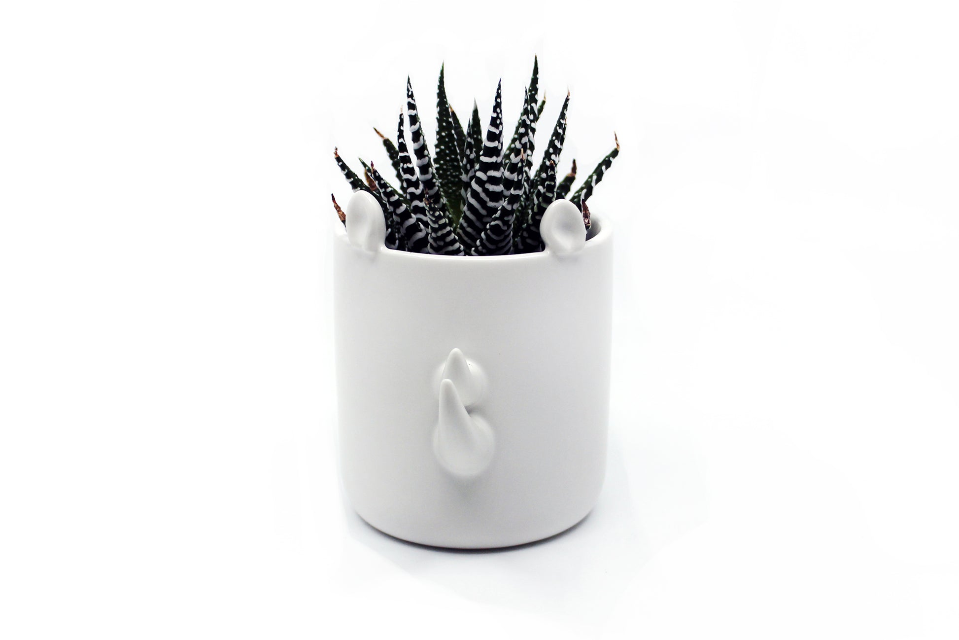 Safari - Wander Pots - Creature Cups