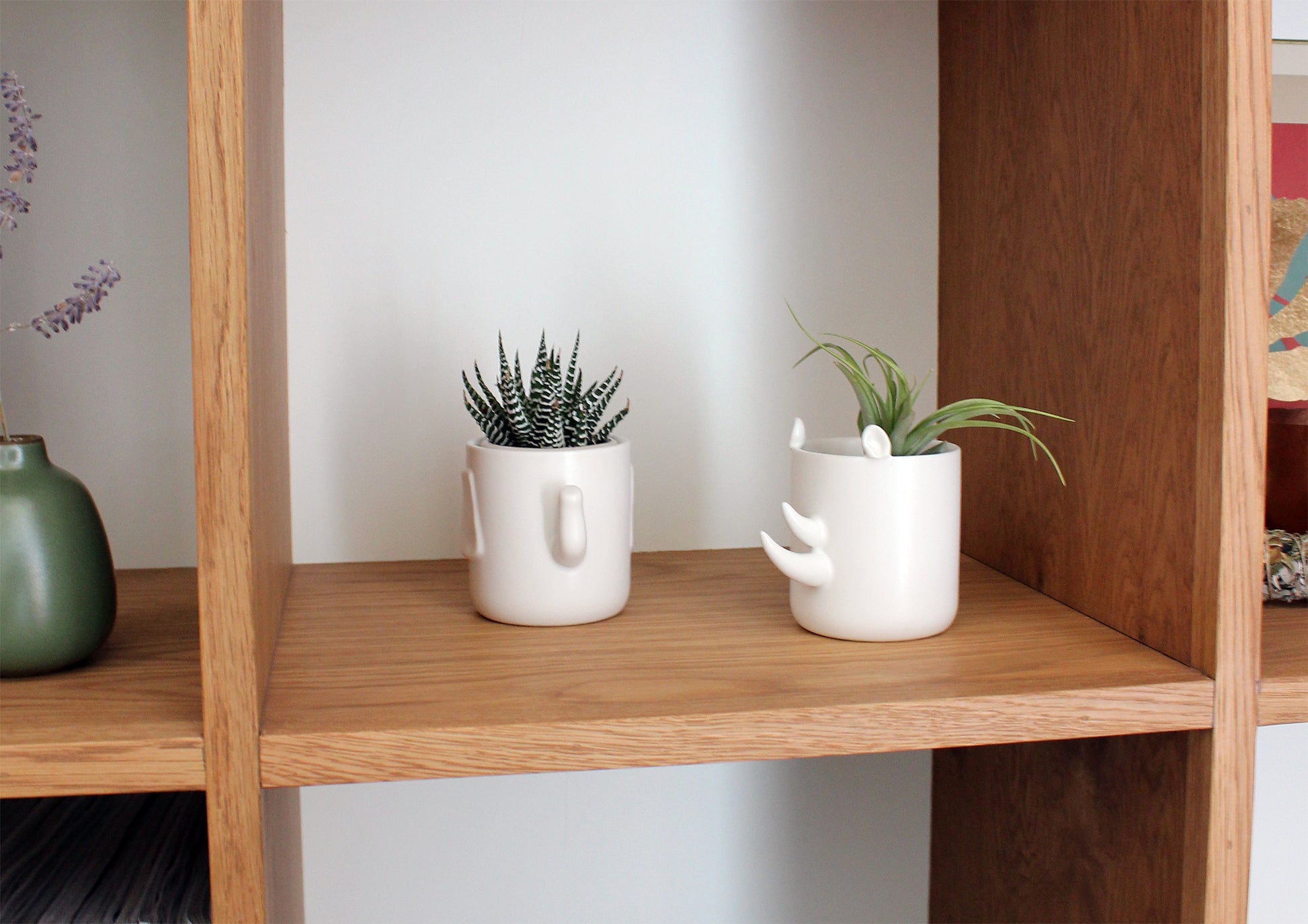 Safari - Wander Pots - Creature Cups