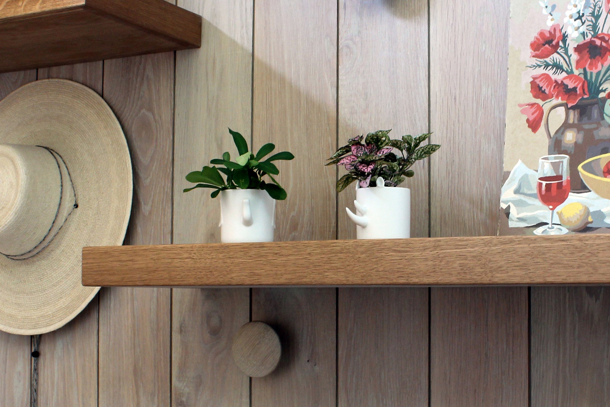 Safari - Wander Pots - Creature Cups