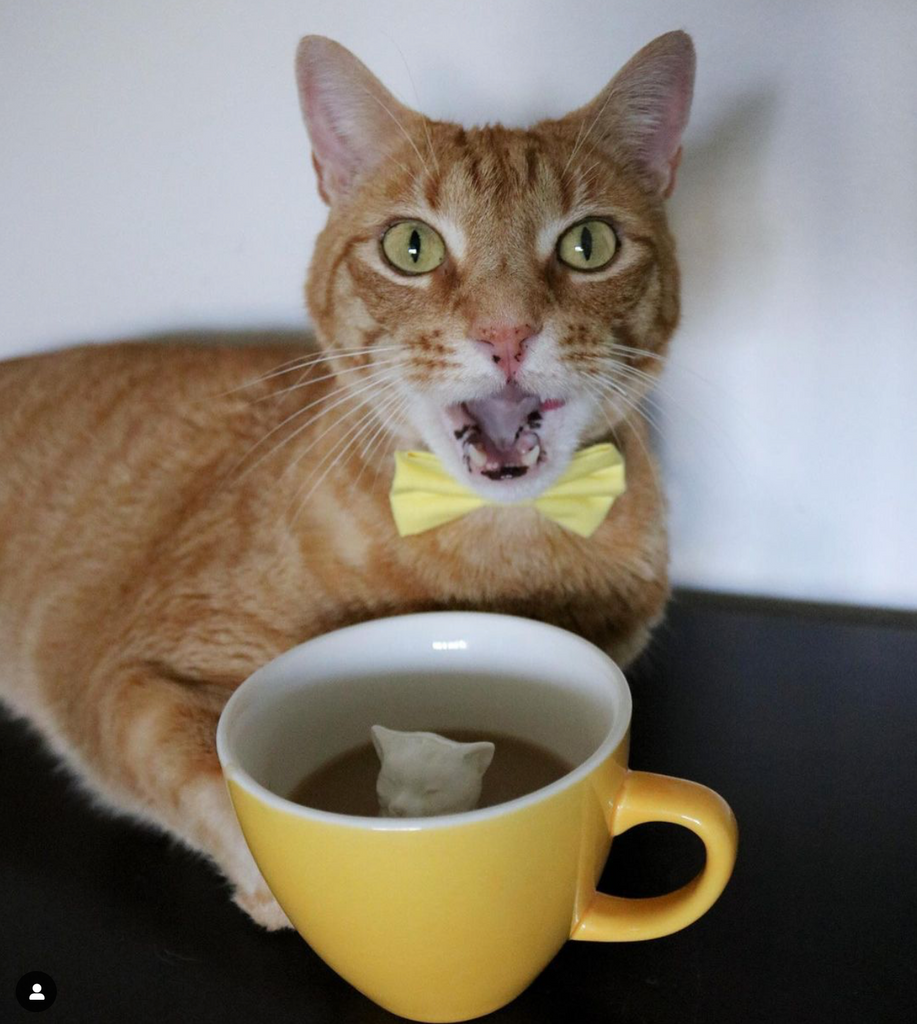 Creature Cups Mugs Yellow - Yellow Cat Mug