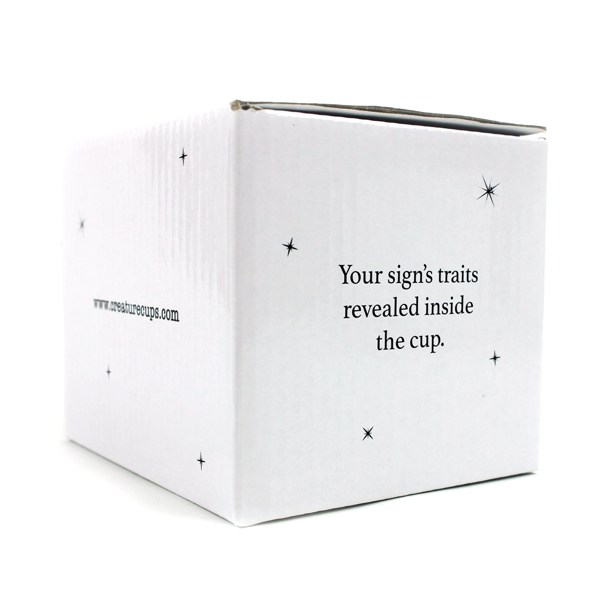 Stargazer camp mug box side